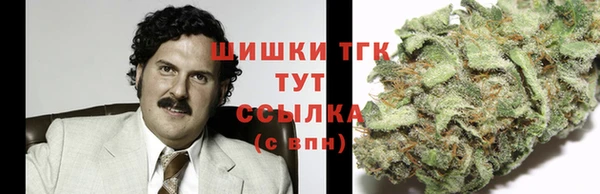 спиды Верея