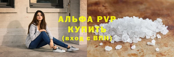 спиды Верея