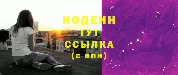 СК Волосово