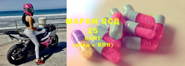 индика Бронницы
