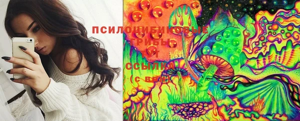 спиды Верея