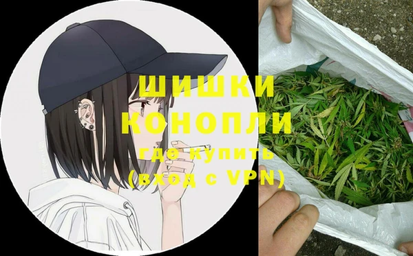 спиды Верея